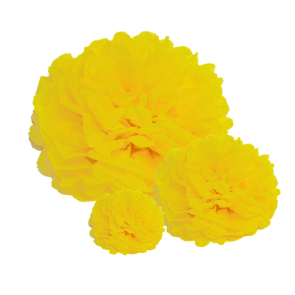 Pack of 10 Paper Pom Poms 10 inch / 25cm