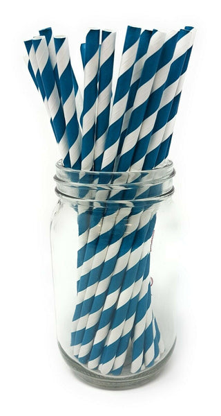 Paper Straws - Pack of 25