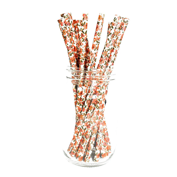 Paper Straws - Pack of 25