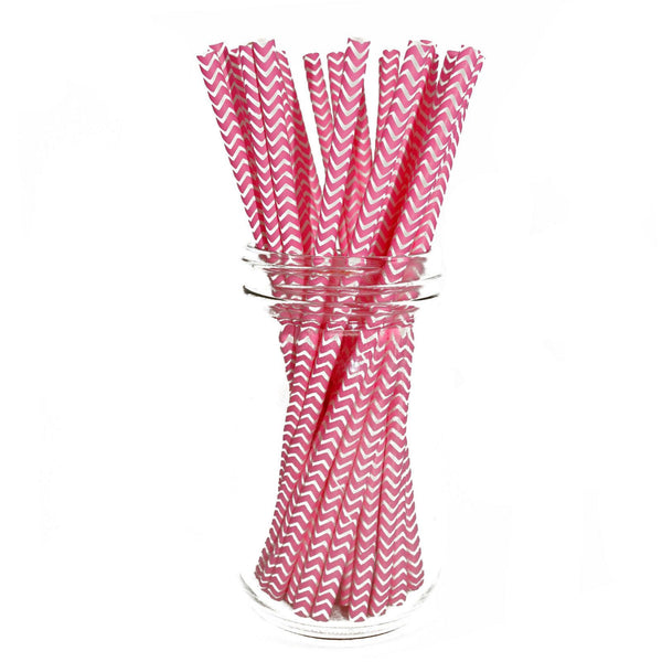 Paper Straws - Pack of 25