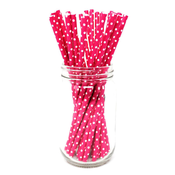 Paper Straws - Pack of 25