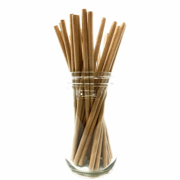 Paper Straws - Pack of 25