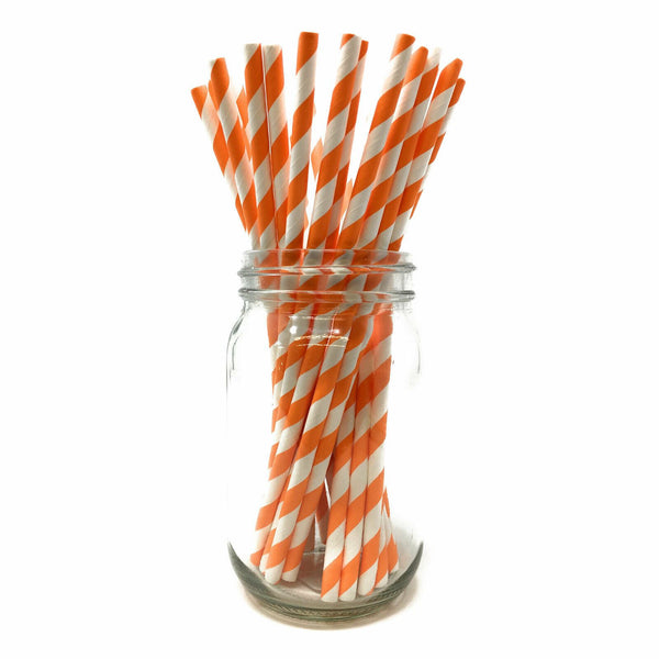 Paper Straws - Pack of 25