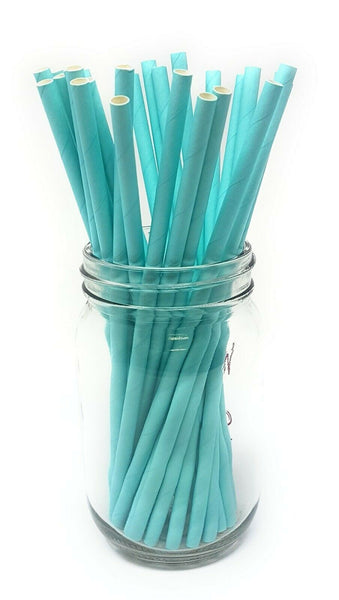 Paper Straws - Pack of 25