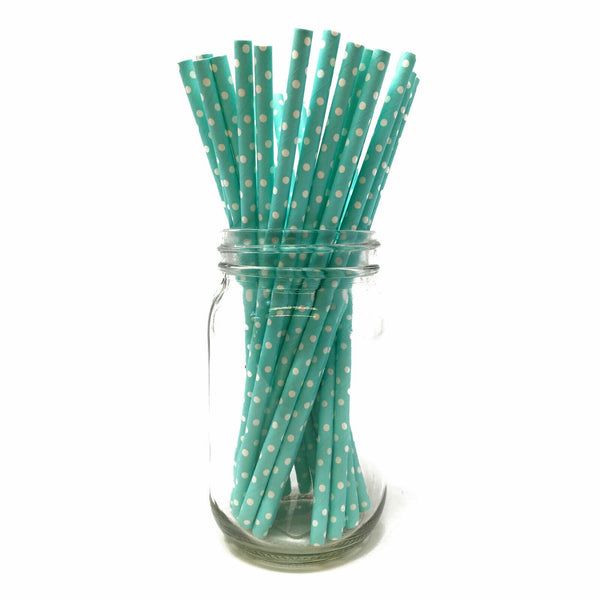 Paper Straws - Pack of 25