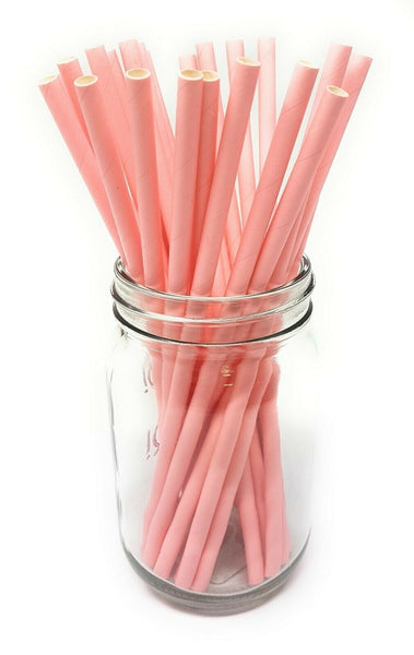 Paper Straws - Pack of 25