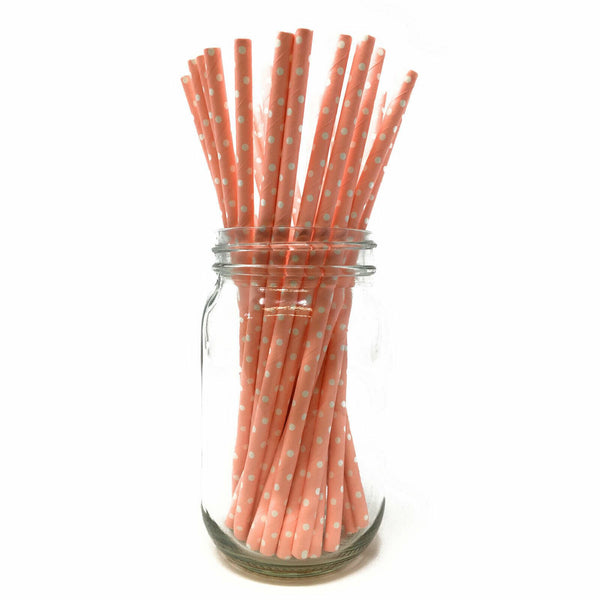 Paper Straws - Pack of 25