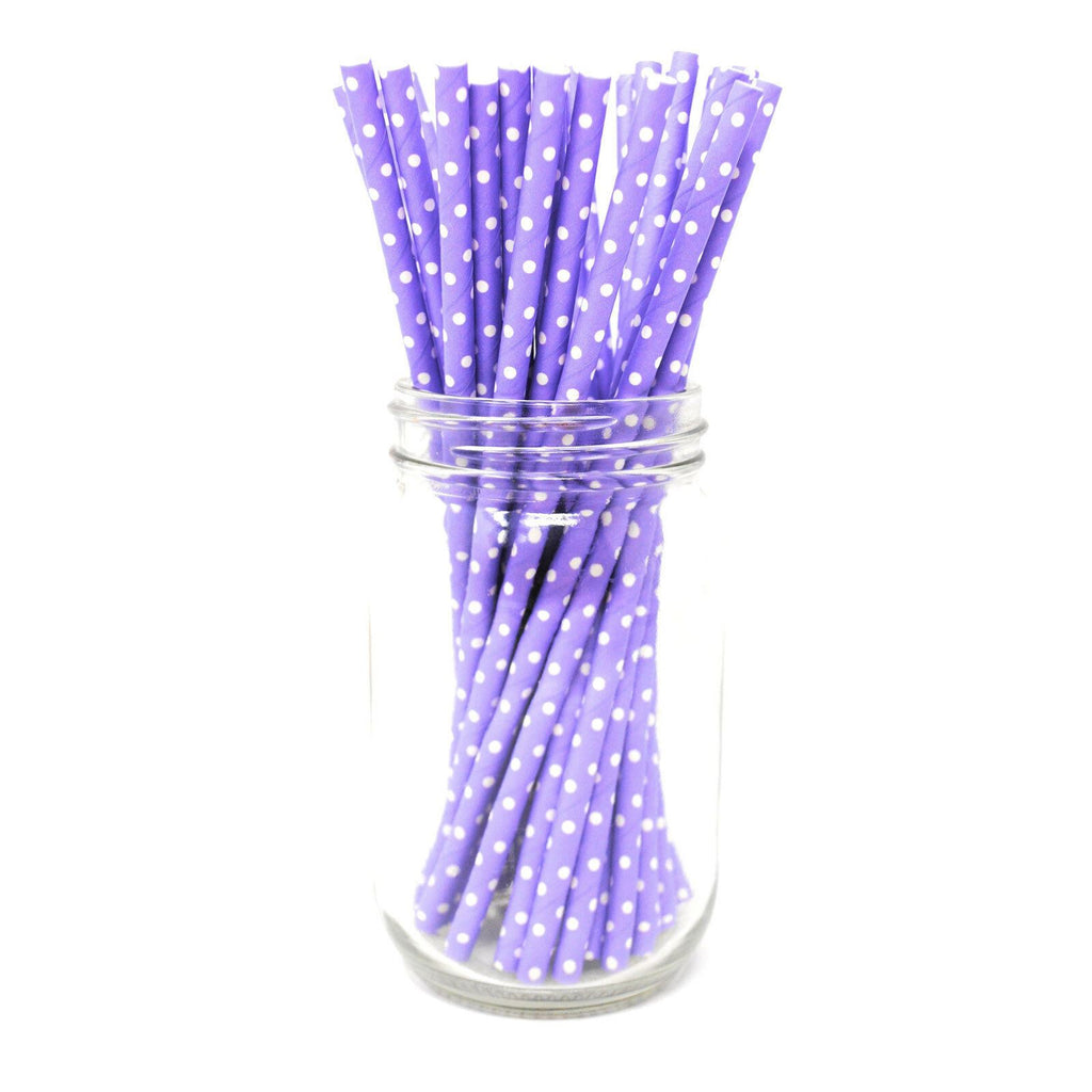 Paper Straws - Pack of 25