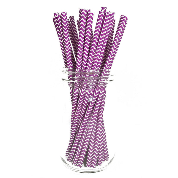 Paper Straws - Pack of 25