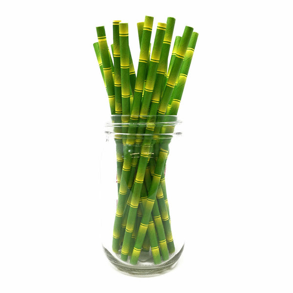 Paper Straws - Pack of 25