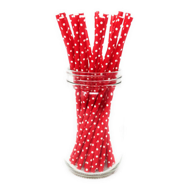 Paper Straws - Pack of 25