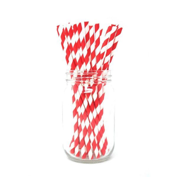 Paper Straws - Pack of 25