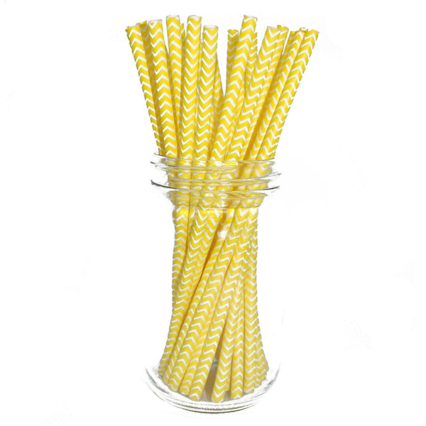 Paper Straws - Pack of 25