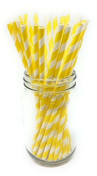 Paper Straws - Pack of 25