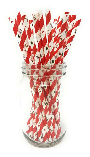 Paper Straws - Pack of 25